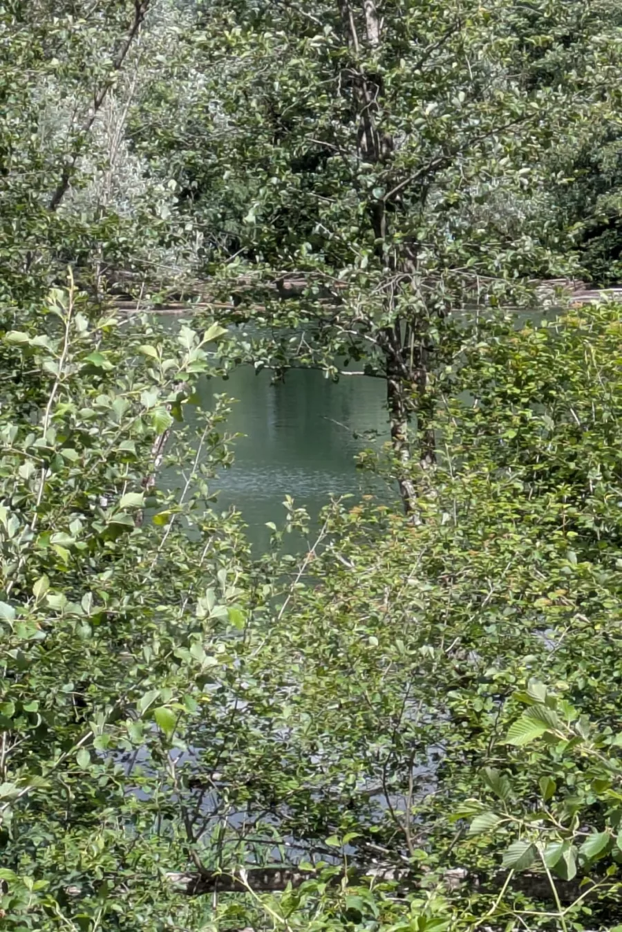 Wanderung zum Reich des Bibers