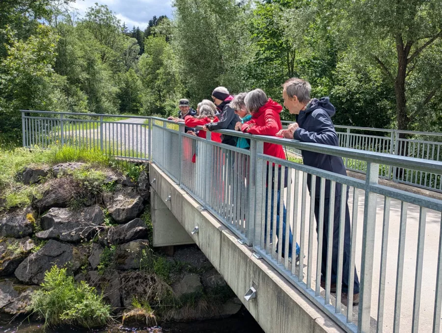 Wanderung zum Reich des Bibers