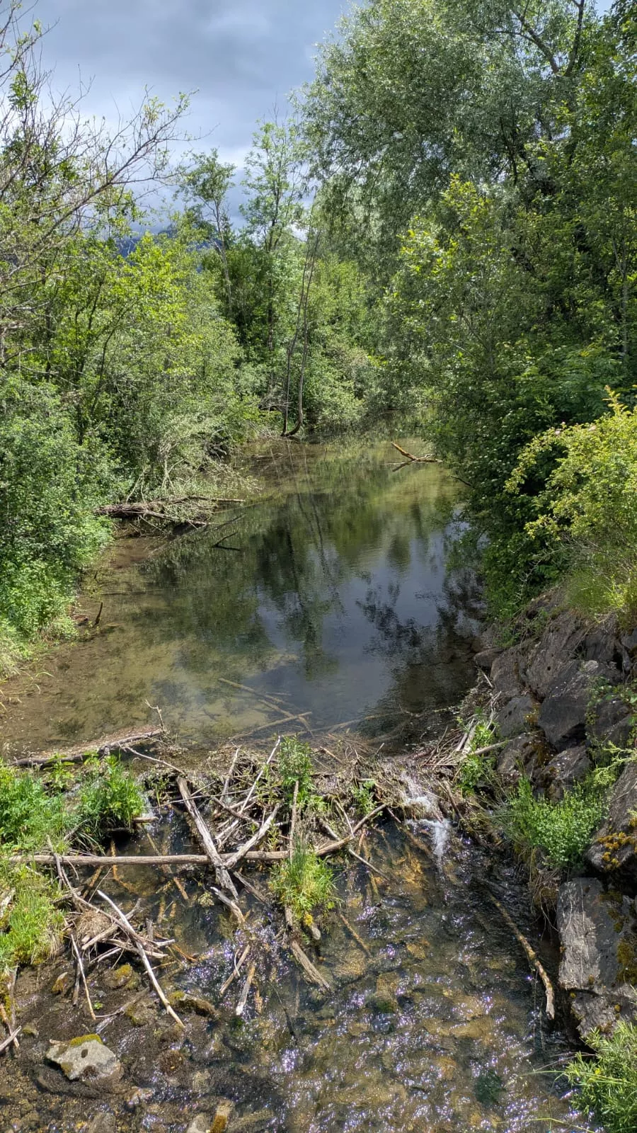 Wanderung zum Reich des Bibers